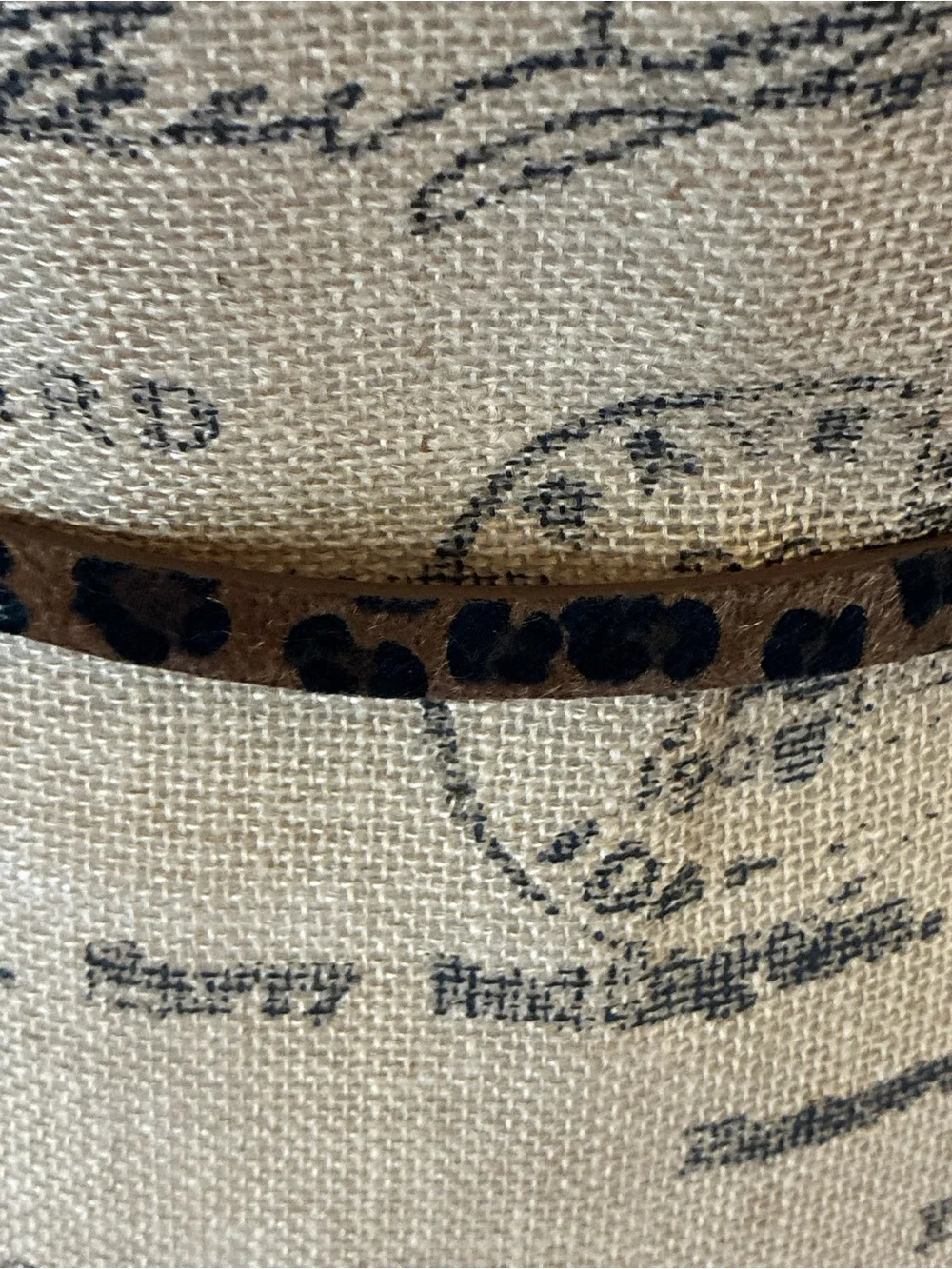 GAP Leopard Print Women's skinny belt Fall animal print calf hair gold buckle S